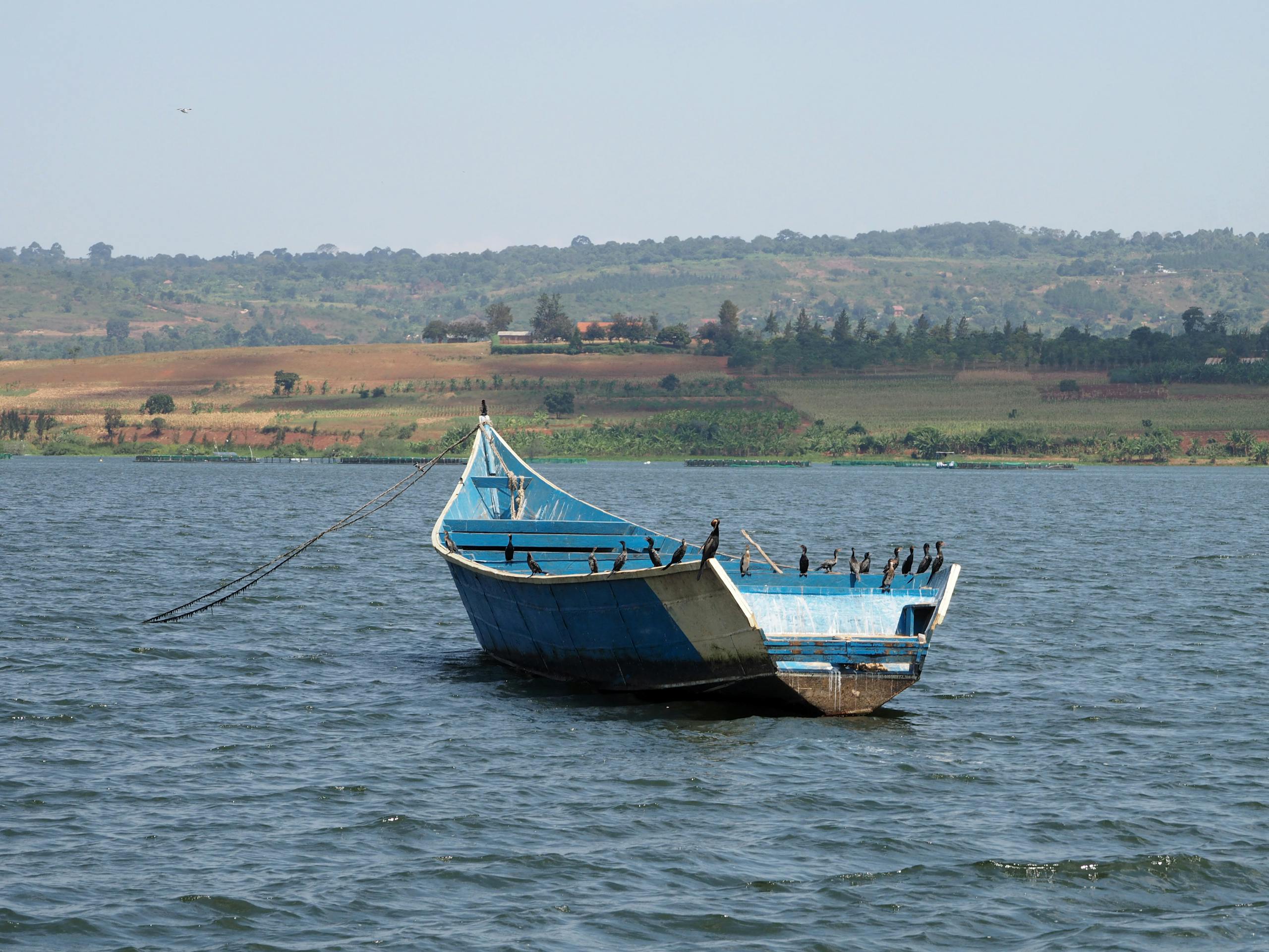 boat moored on Lake Victoria